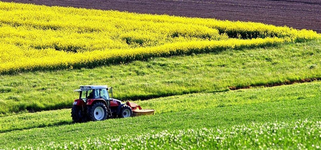 Lebensmittel erzeugen nachhaltig regional