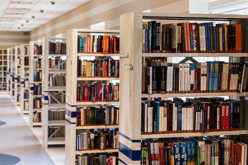 kanon bücher regale