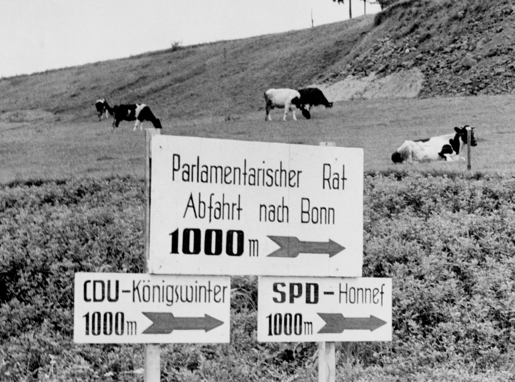 Hinweisschild (Straßenschild), das den Weg zum Palamentarischen Rat in Bonn zeigt (i.H.: Kühe auf der Weide).